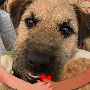 Meet your Posher, Leanne